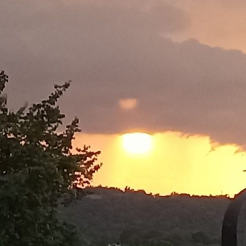 Meet your Posher, Eugenia